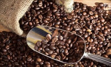penyebab biji kopi pecah saat proses hulling