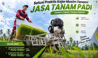 manfaat jasa tanam padi bagi petani