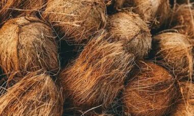 cara mencacah bahan organik untuk kompos