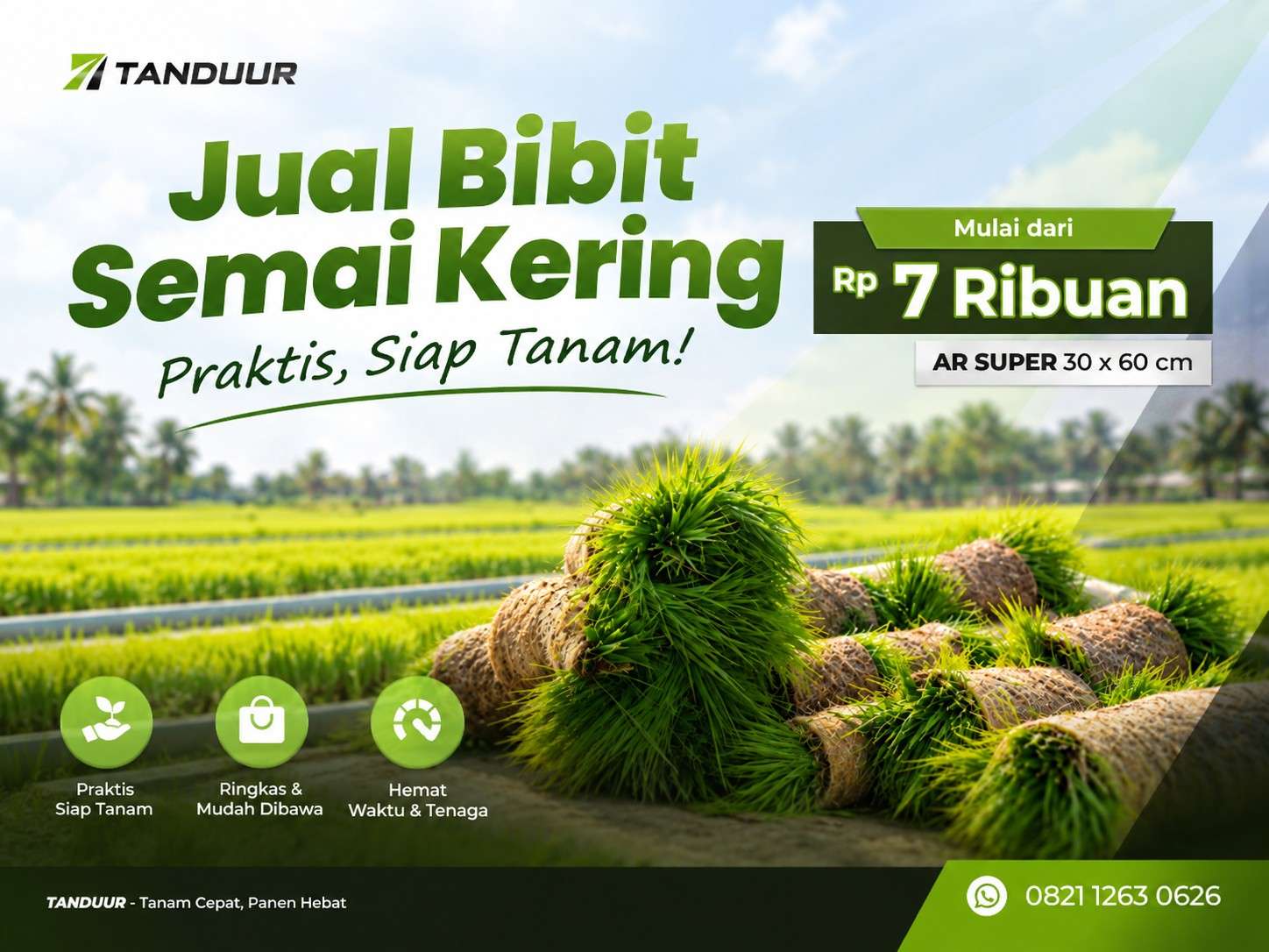 bibit padi semai kering harga terjangkau